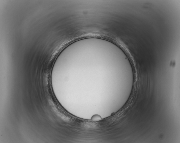 X0000115660106200911120952