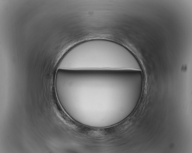 X0000115660107200911120952