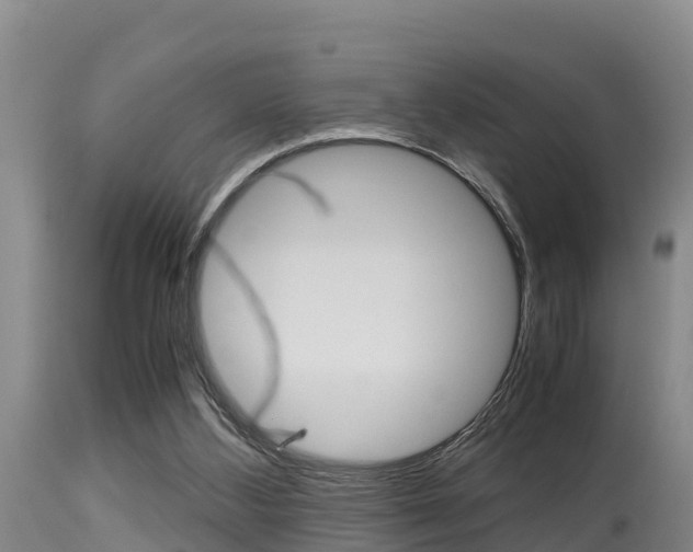 X0000115660108200911120952