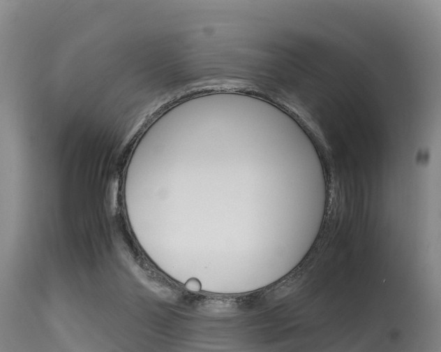 X0000115660110200911120952