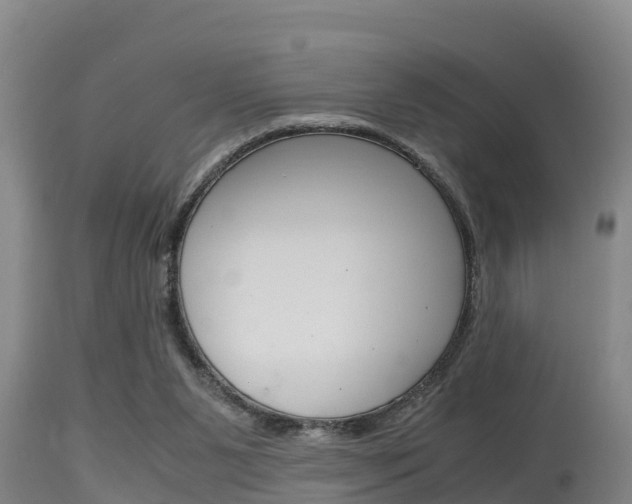 X0000115660111200911120952
