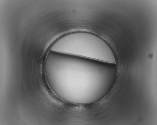 X0000115660112200911120952