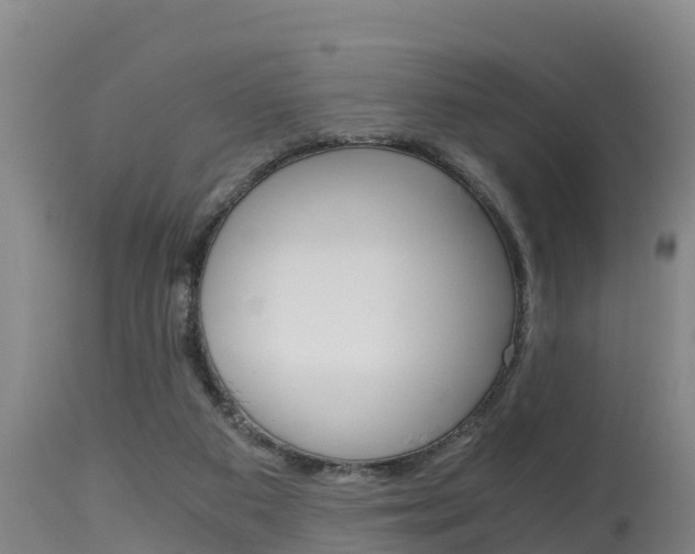 X0000115660113200911120952