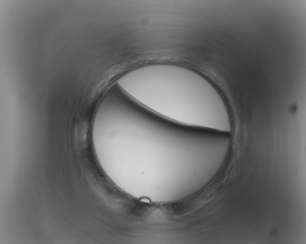 X0000115660115200911120952