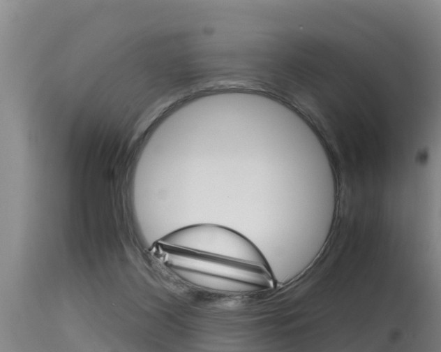 X0000115660116200911120952