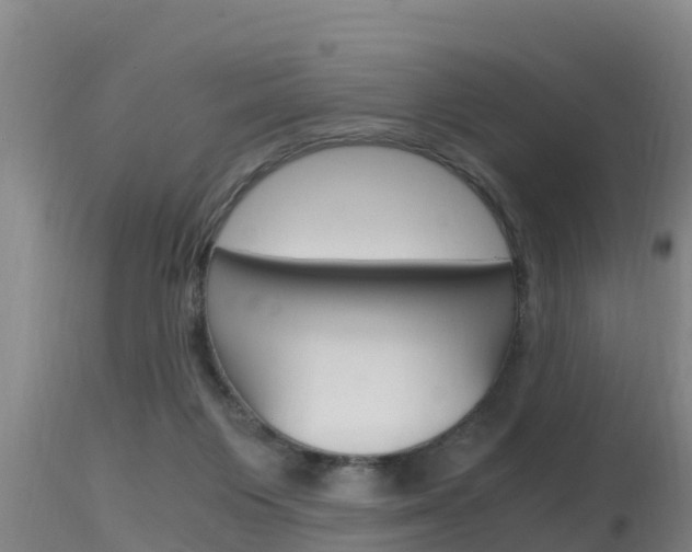 X0000115660119200911120952