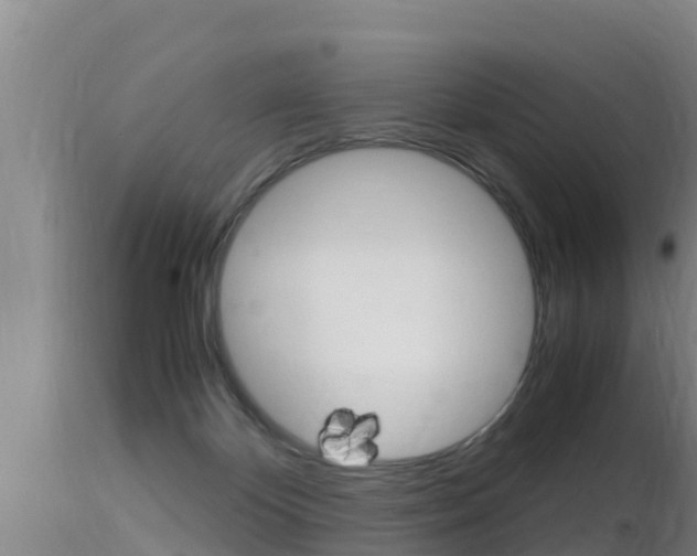 X0000115660124200911120952