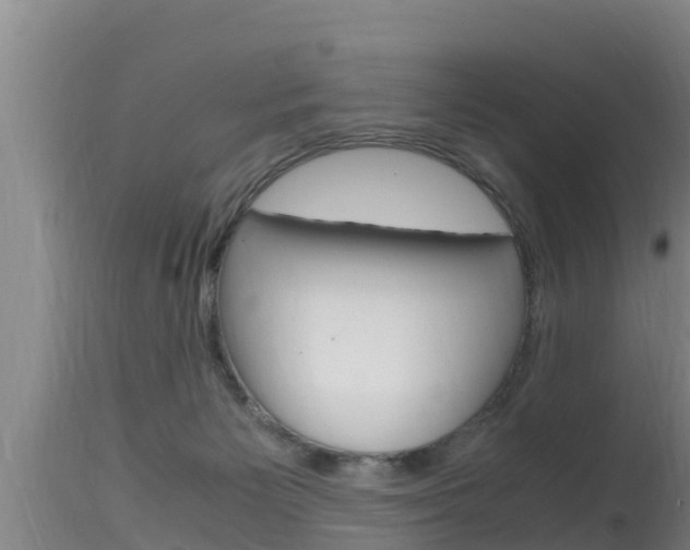 X0000115660125200911120952