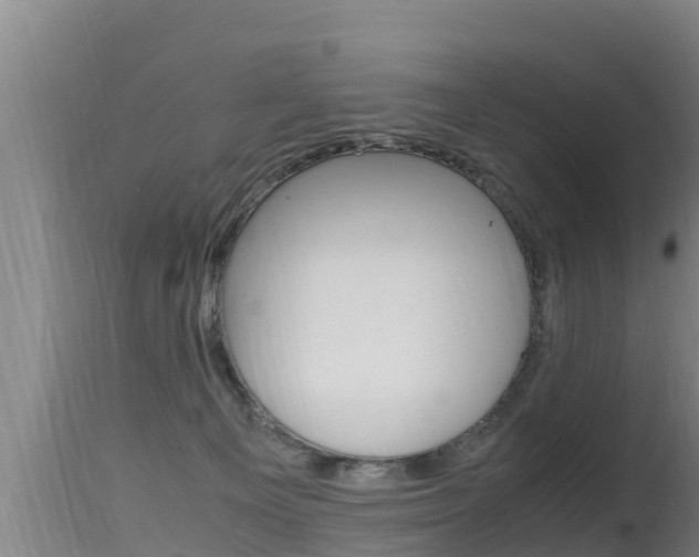 X0000115660129200911120952