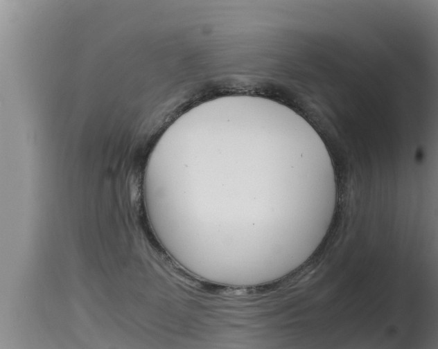 X0000115660131200911120952
