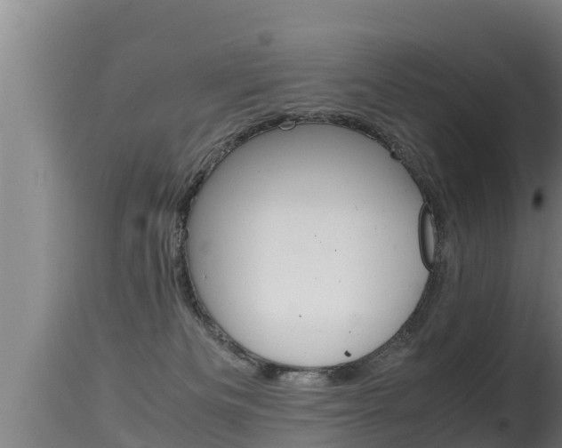 X0000115660133200911120952