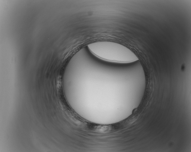 X0000115660135200911120952