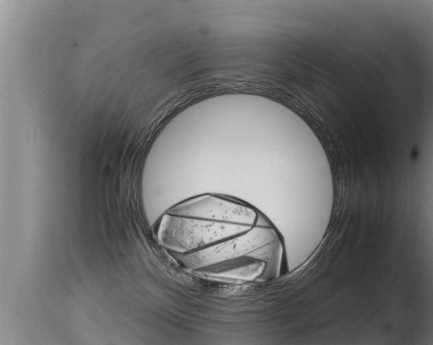 X0000115660136200911120952