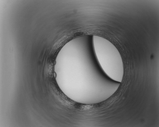 X0000115660139200911120952