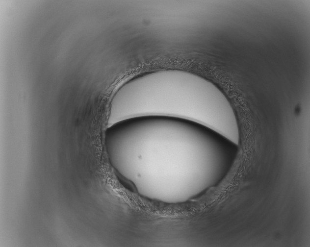 X0000115660144200911120952