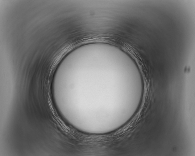 X0000115660145200911120951