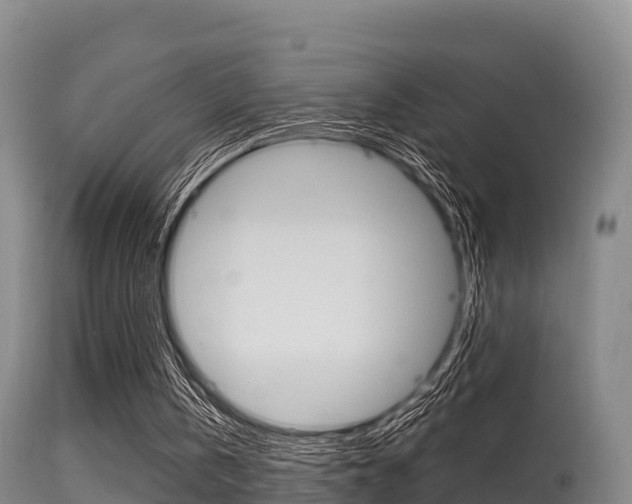 X0000115660146200911120951
