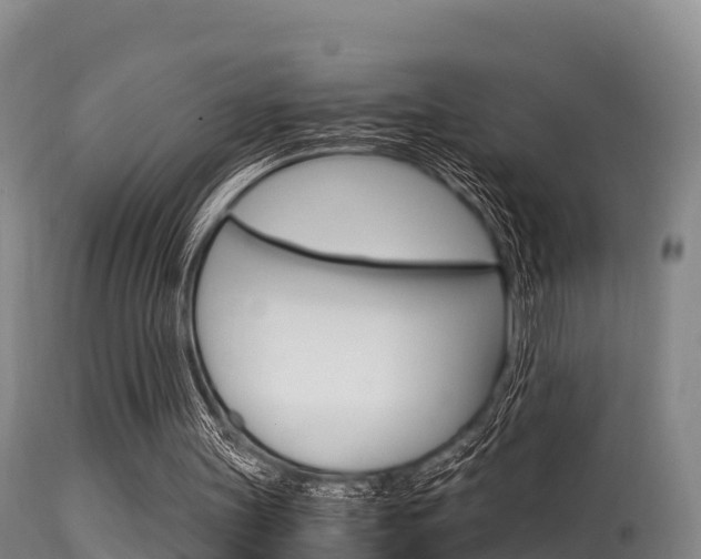 X0000115660147200911120951