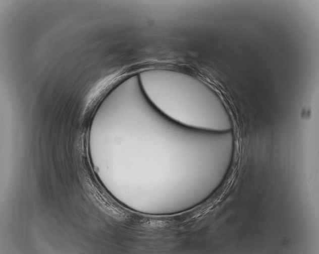 X0000115660149200911120951