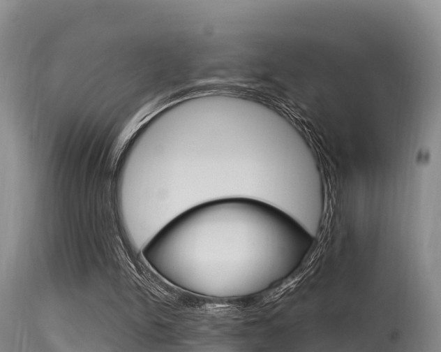 X0000115660150200911120951