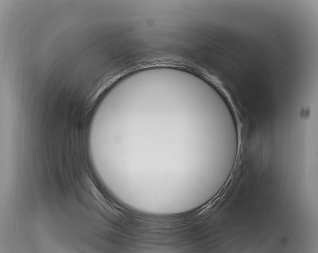 X0000115660154200911120951