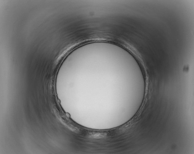 X0000115660155200911120951