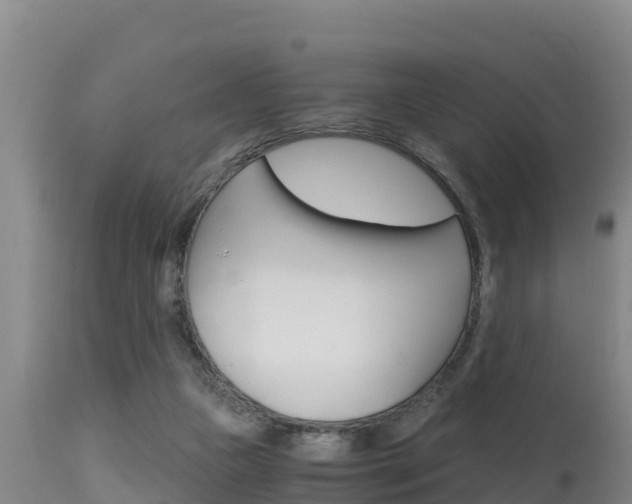 X0000115660161200911120951