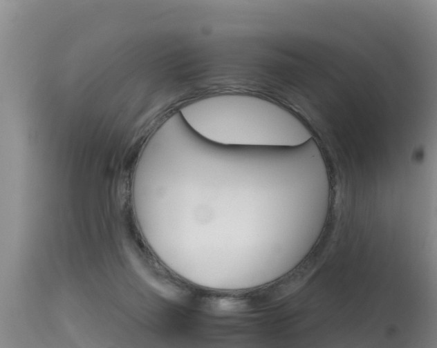 X0000115660165200911120951