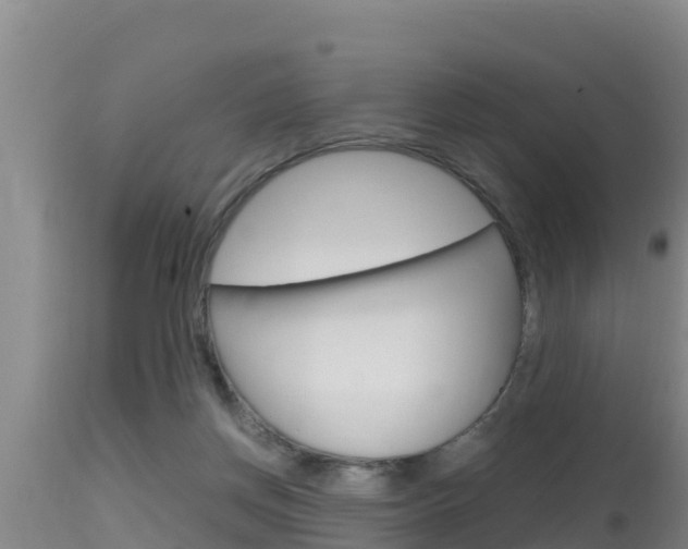 X0000115660166200911120951