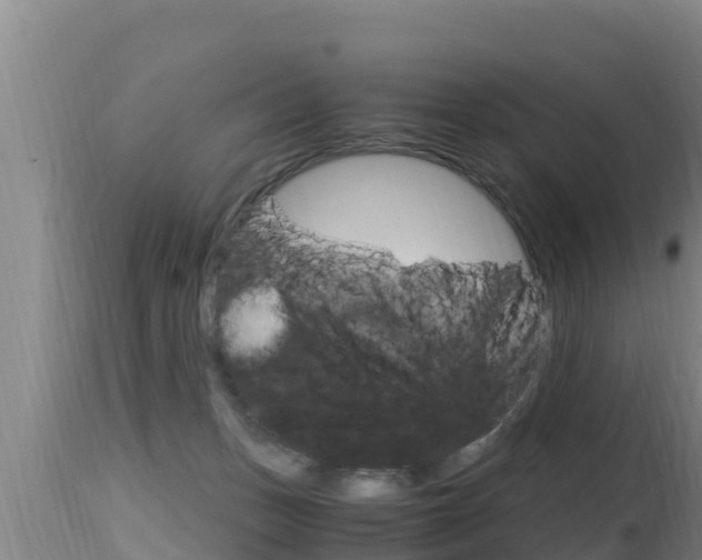 X0000115660175200911120952