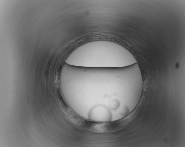 X0000115660178200911120952