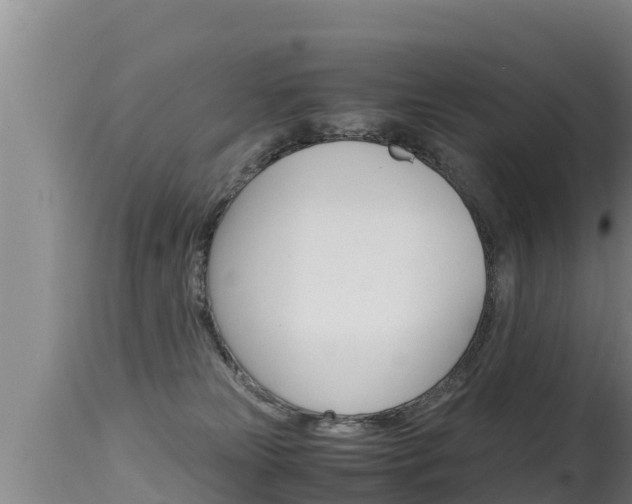 X0000115660181200911120952