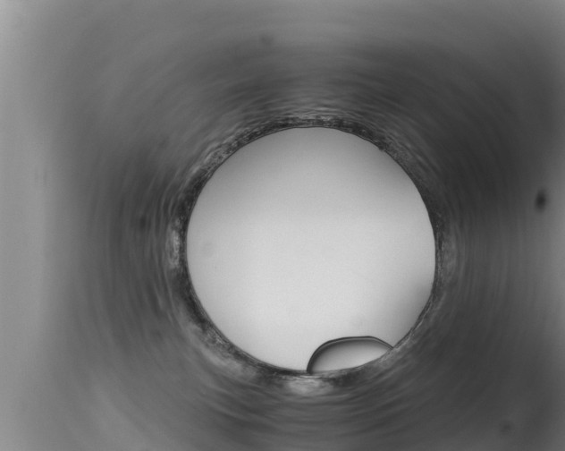 X0000115660183200911120952