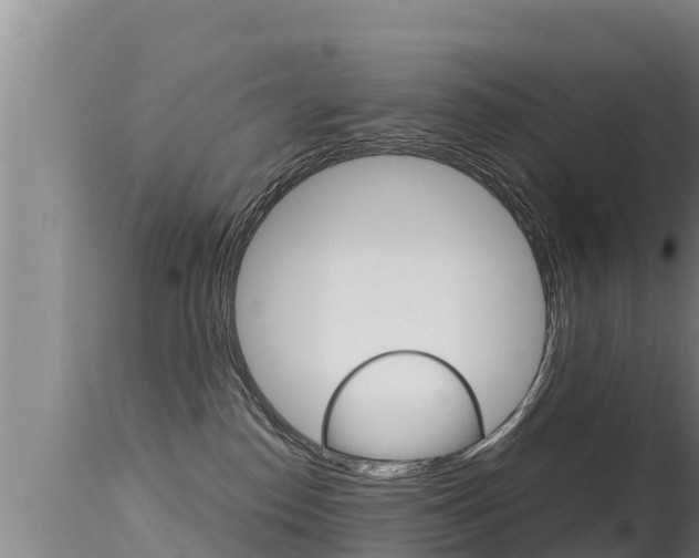 X0000115660186200911120952
