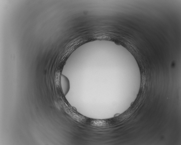 X0000115660189200911120952