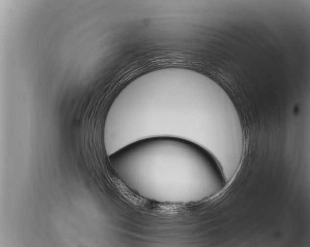X0000115660190200911120952