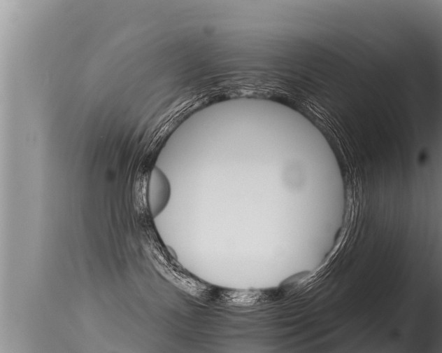 X0000115660191200911120952