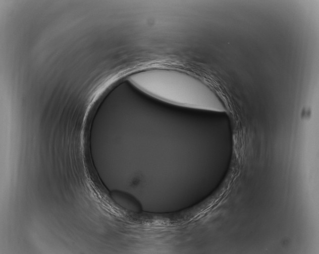 X0000115660196200911120951