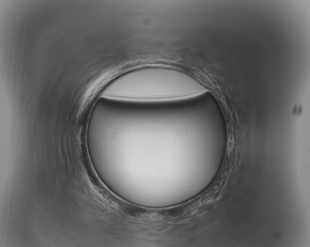X0000115660197200911120951