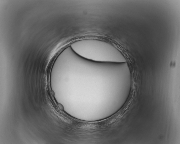 X0000115660198200911120951
