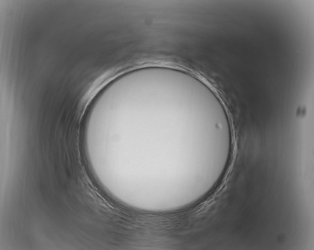 X0000115660199200911120951