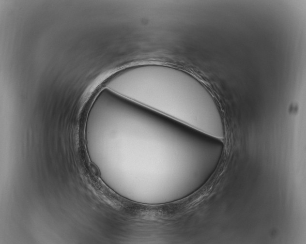 X0000115660200200911120951
