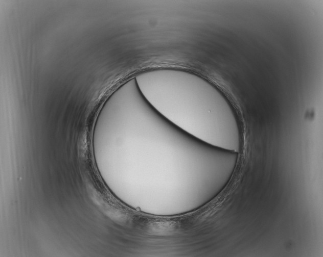 X0000115660202200911120951