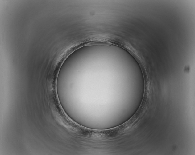 X0000115660203200911120951