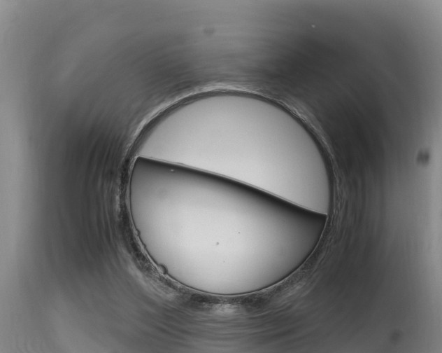 X0000115660204200911120951