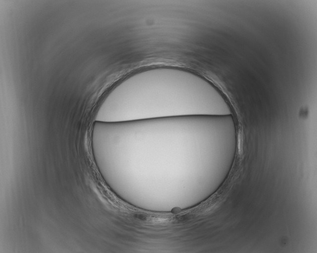 X0000115660205200911120951