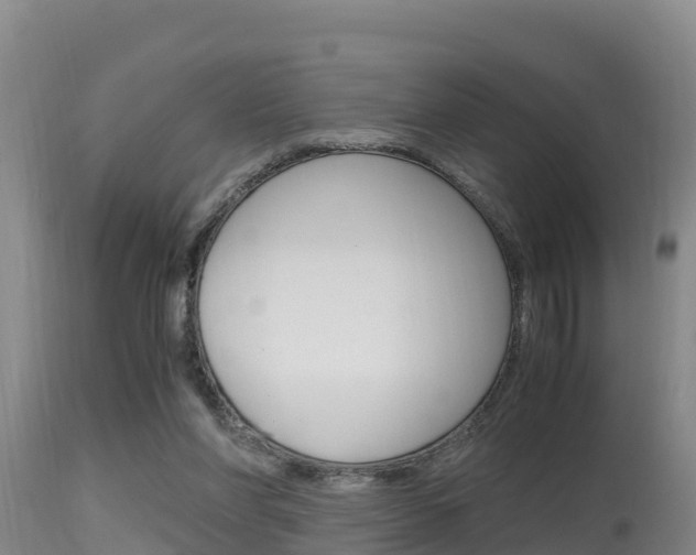 X0000115660206200911120951