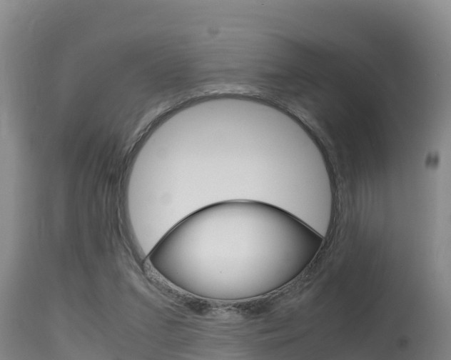 X0000115660207200911120951