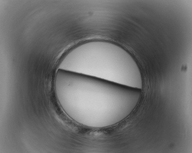 X0000115660208200911120951