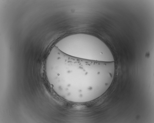 X0000115660210200911120951